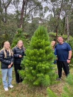tree-with-family (1)